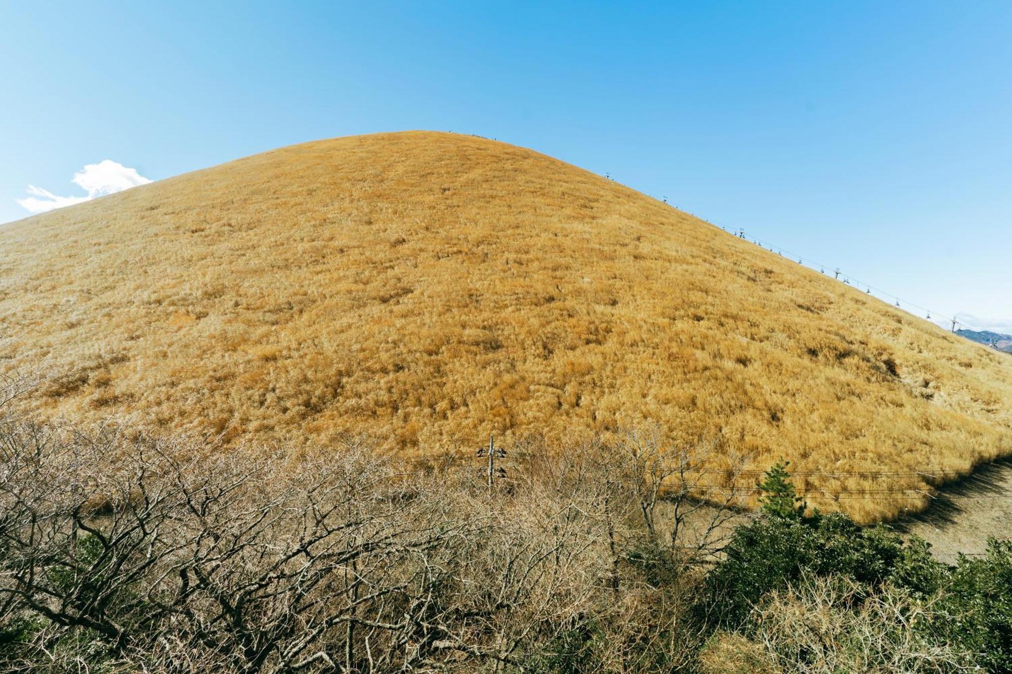 スマートステイ大室山2合目 Villa Futo Dış mekan fotoğraf